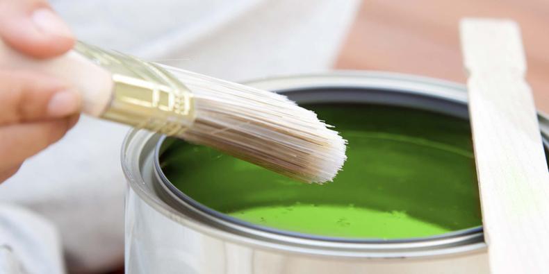  Utiliza pinturas aromáticas para mantener un ambiente agradable en tu hogar